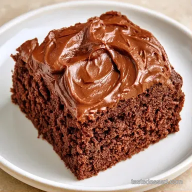 Chocolate Zucchini Sheet Cake for 24 Recipe Card