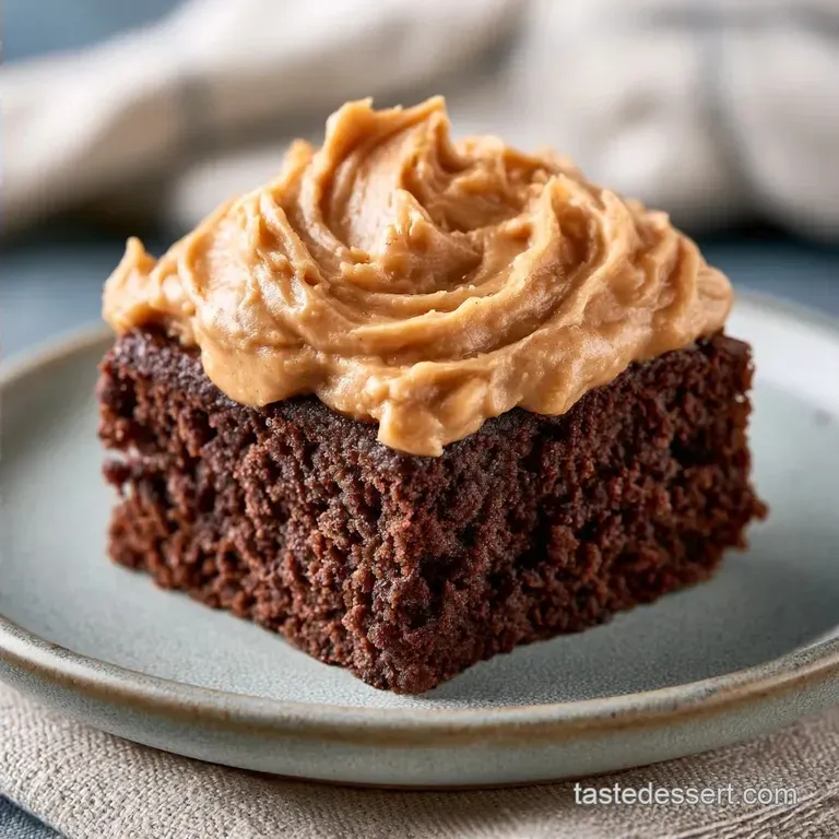 Fudgy Chocolate Sheet Cake with Peanut Butter